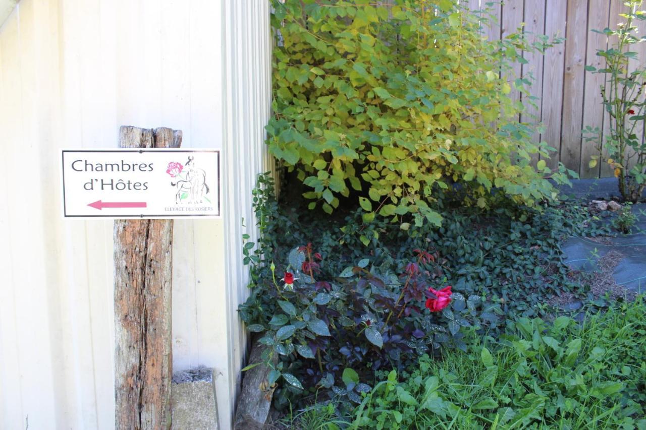 Chambre D'Hote En Vallee Du Loir - Elevage Des Rosiers Bazouges-sur-le-Loir Exterior foto