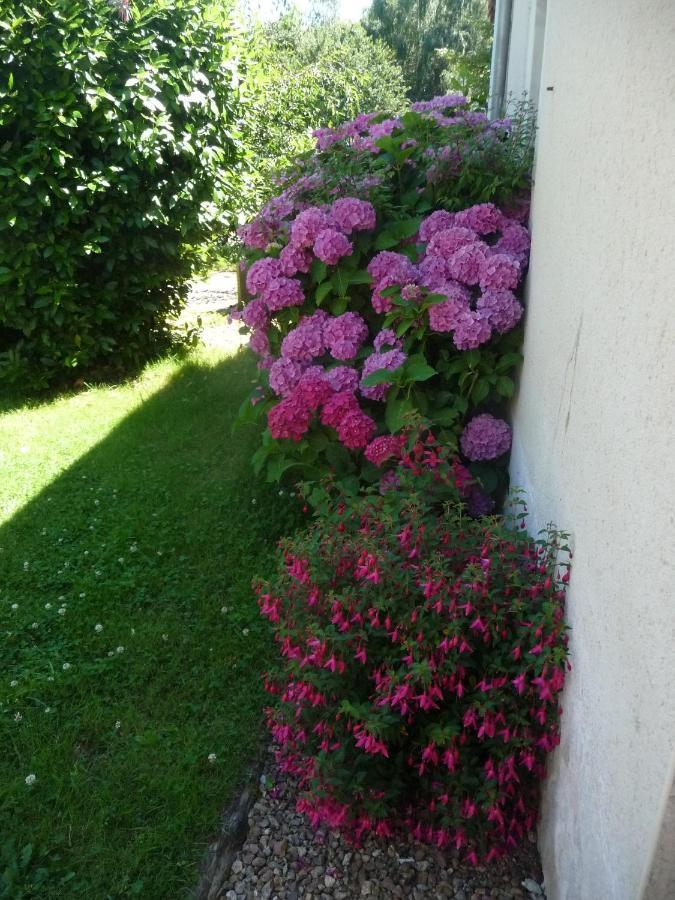 Chambre D'Hote En Vallee Du Loir - Elevage Des Rosiers Bazouges-sur-le-Loir Exterior foto