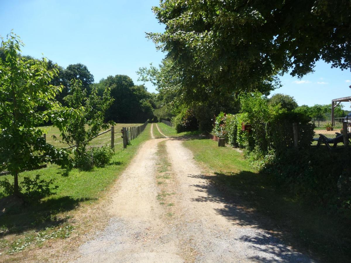 Chambre D'Hote En Vallee Du Loir - Elevage Des Rosiers Bazouges-sur-le-Loir Exterior foto